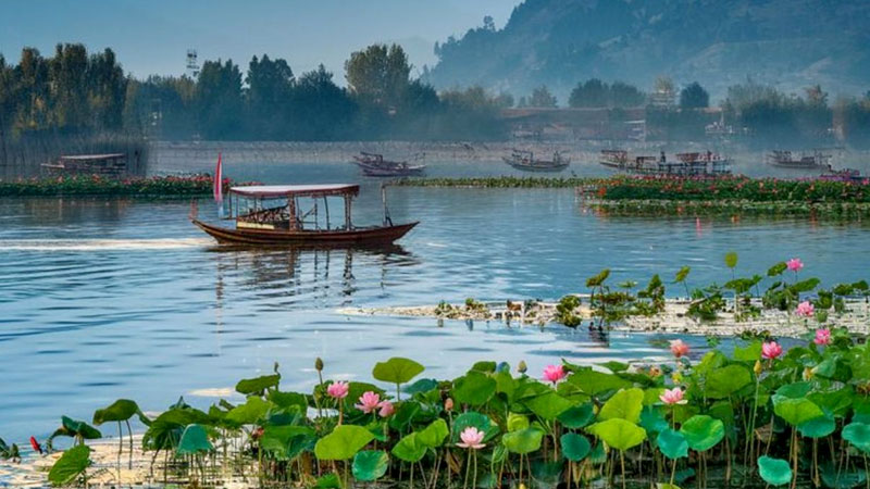 From City Streets to Scenic Peaks – Drive Your Own Story